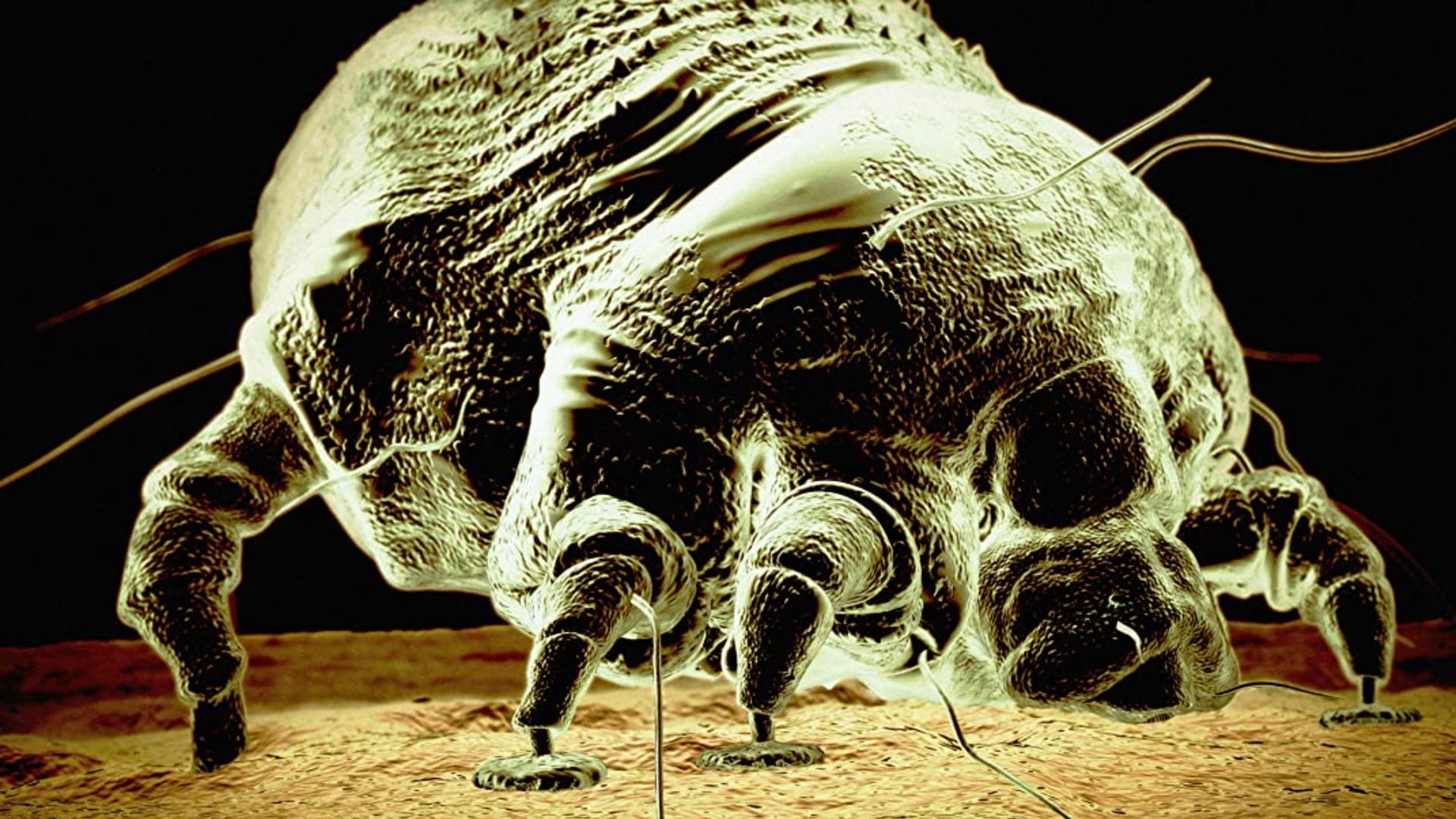 Season 7