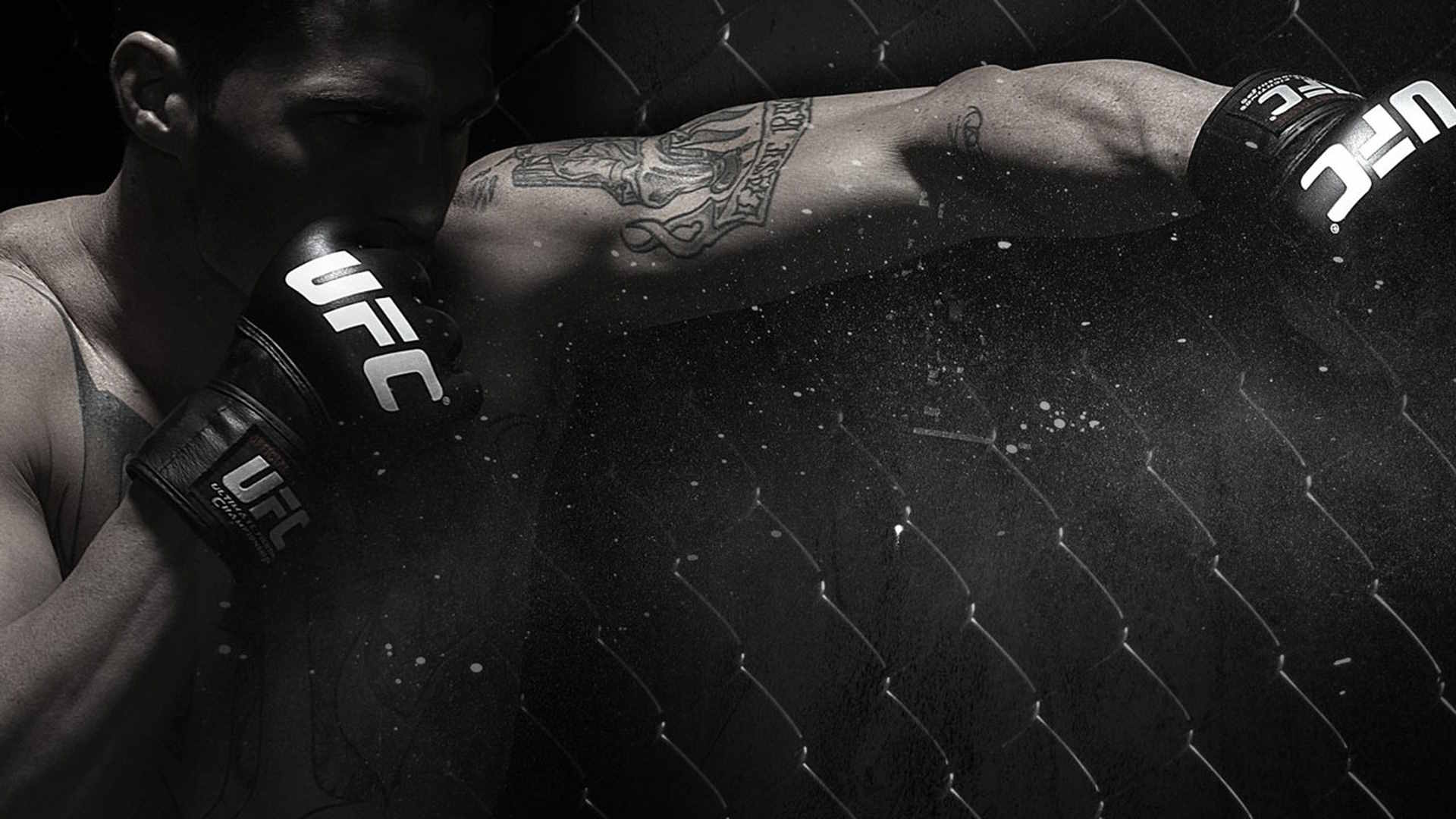 Season 3