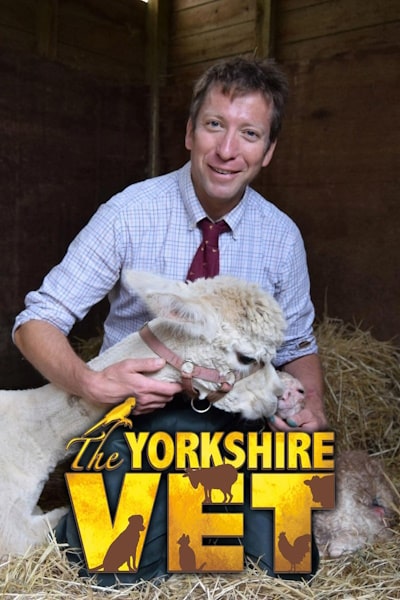 The Yorkshire Vet - Season 3
