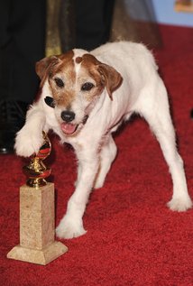 Uggie