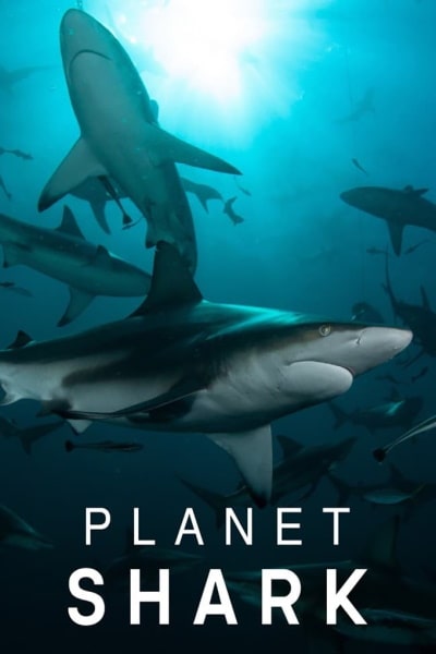 Planet Shark - Season 1