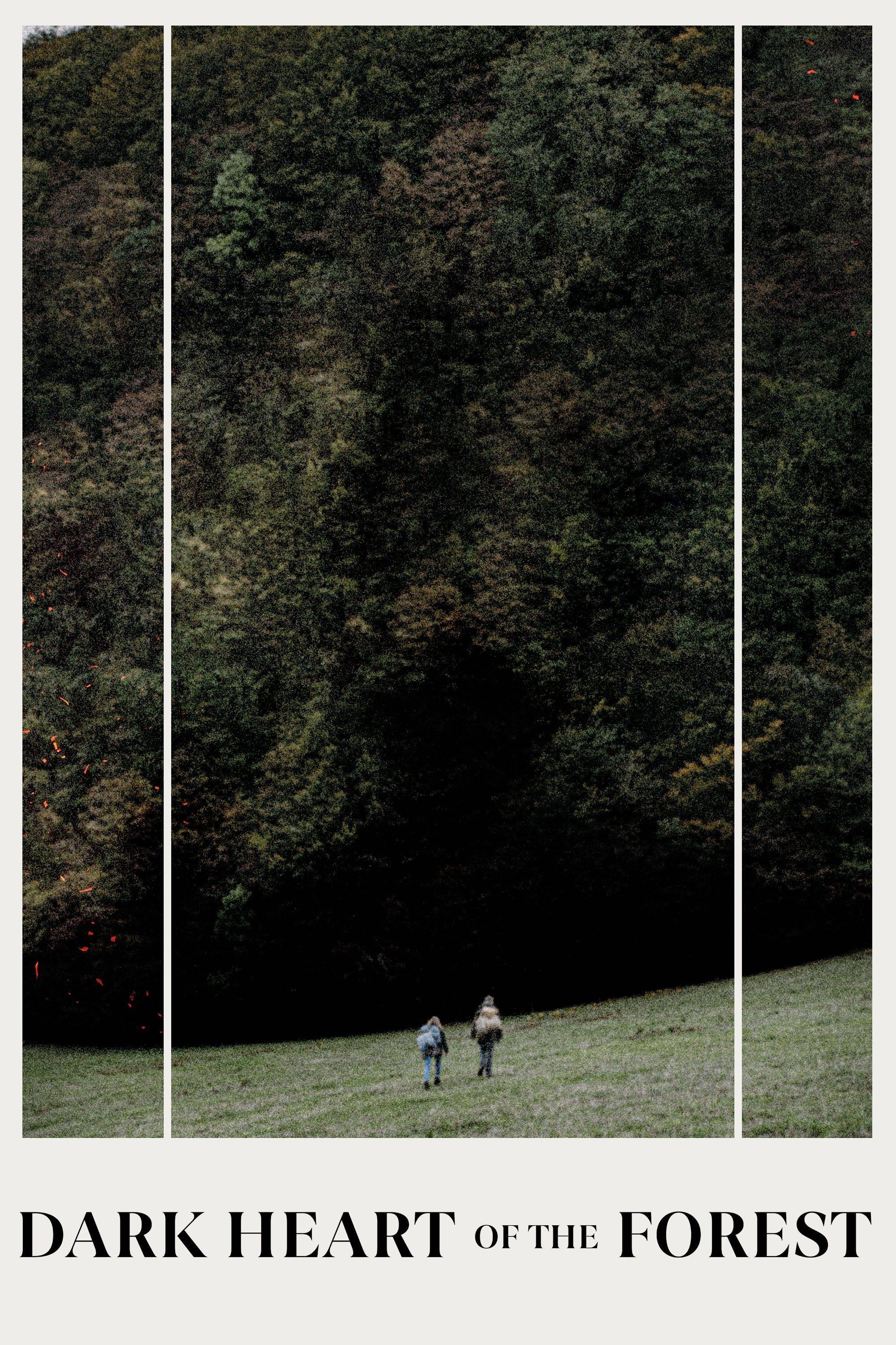 Le coeur noir des forêts