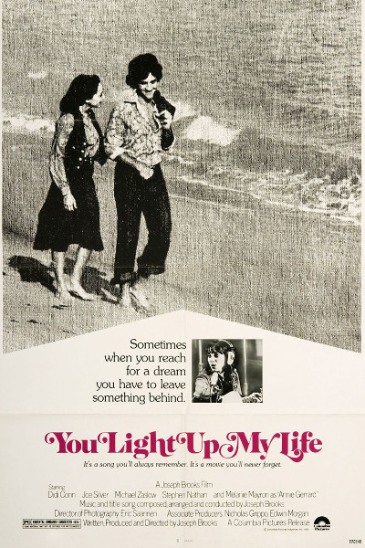 You Light Up My Life